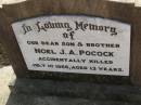 
Noel J.A. POCOCK,
son brother,
accidentally killed 10 July 1966 aged 13 years;
Maroon General Cemetery, Boonah Shire
