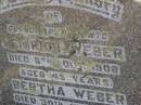 parents;
Heinrich WEBER,
died 6 Oct 1908 aged 45 years;
Bertha WEBER,
died 30 July 1856 aged 83 years;
Frederick,
brother,
died 6 June 1910 aged 10 years;
Meringandan cemetery, Rosalie Shire