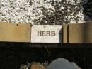 Herbert F. LUCHT,
husband father,
1901 - 1941;
Meringandan cemetery, Rosalie Shire