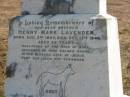 Henry Mark (Andy) LAVENDER,
brother,
born 5 Aug 1884,
died 13 Oct 1946 aged 62 years;
Meringandan cemetery, Rosalie Shire