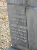 William B. NATION,
husband of Harriet S. NATION,
father,
died Gowrie Little Plain 11 Aug 1902 aged 46 years;
Meringandan cemetery, Rosalie Shire