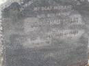 
August HAUSCHILDT, husband father,
died 5 Sept 1942 aged 69 years;
Minden Baptist, Esk Shire
