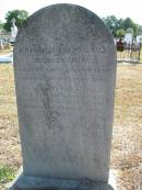 Kristina Loise Gaus KRAGENBRING
b: 20 Aug 1832, d: 23 Nov 1886
Minden Zion Lutheran Church Cemetery