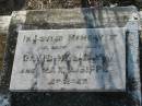 (our dear children)
David H SIPPEL
Lilly V SIPPEL
Max A SIPPEL
MindenCoolana - St Johns Lutheran