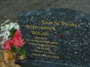 Peter Trevor DOLAN,
dad of Kelly Susan & Courtney Jasmine,
taken from wife & girls,
born 17-4-1955,
died 9-1-2006;
Mooloolah cemetery, City of Caloundra