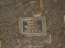 Winifred E. TURNLEY,
died 21 Dec 1996 aged 76 years;
Mooloolah cemetery, City of Caloundra