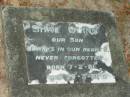 Shae QUINN,
son,
born 7-2-81,
died 30-3-81;
Mooloolah cemetery, City of Caloundra