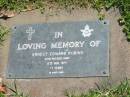 
Ernest Edward ROBINS,
died 17 Nov 1977 aged 71 years;
Moore-Linville general cemetery, Esk Shire
