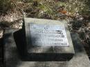 Henry C DOBBS
8 Aug 1929
Aged 1 year 4 months
Mt Walker HistoricPublic Cemetery, Boonah Shire, Queensland