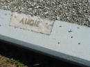 August MISCHKE
1 May 1969, aged 69
(Augie)
Mount Beppo Apostolic Church Cemetery