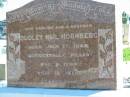 Dudley Neil HORNBERG
b: 17 Jul 1945, accidentally killed 9 Nov 1960
Mount Beppo Apostolic Church Cemetery
