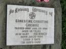 Ernestine Christine GREINKE
25 Jan 1884, aged 39
baby Heinrich (GREINKE)
25 Jan 1884, aged 3 days
Mount Beppo Apostolic Church Cemetery