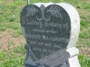Auguste W A LUKRITZ
26 May 1946, aged 80
Mount Beppo Apostolic Church Cemetery
