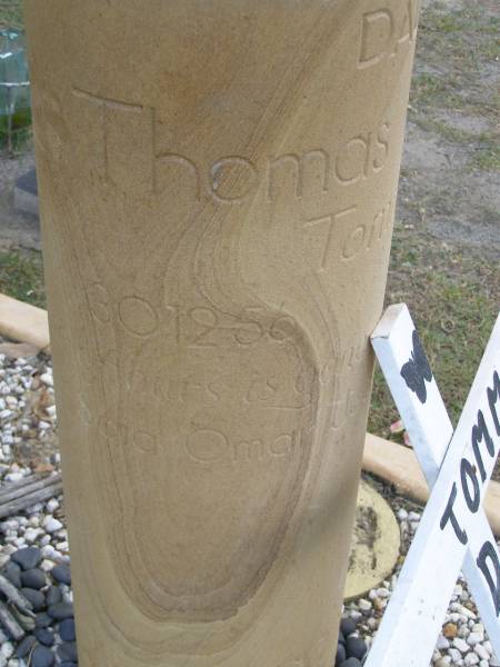 Thomas (Tommy) HANLON,  | dad,  | 30-12-56 - 05-01-02;  | Mudgeeraba cemetery, City of Gold Coast  | 