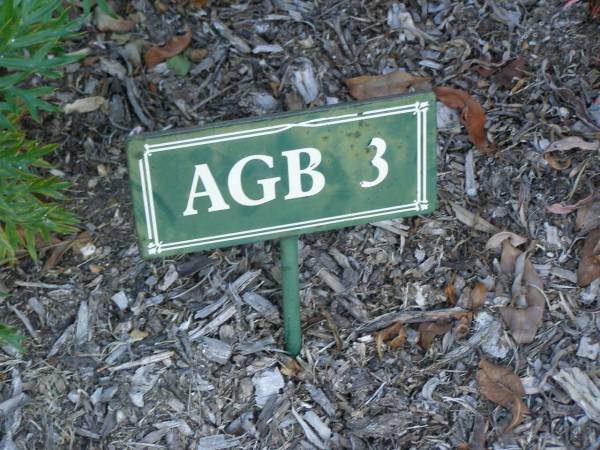 Mudgeeraba cemetery, City of Gold Coast  | 