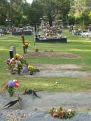 Mudgeeraba cemetery, City of Gold Coast