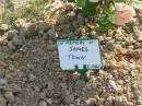 James TOWN;
Mudgeeraba cemetery, City of Gold Coast