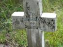 Albert, infant son of G & M BARNES;
Mundoolun Anglican cemetery, Beaudesert Shire