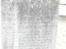 Thomas Henry GRIFFITHS, son brother,
died 16 Nov 1924 aged 30 years 6 months;
Murphys Creek cemetery, Gatton Shire