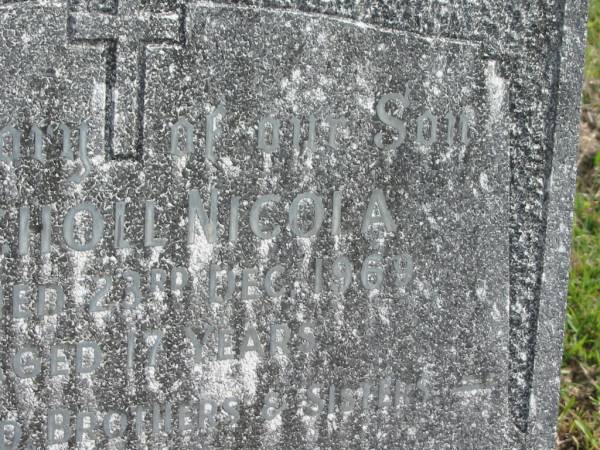 Scholl NICOLA,  | died 23 Dec 1969 aged 17 years,  | missed by mum, dad, brothers & sisters;  | Murwillumbah Catholic Cemetery, New South Wales  | 