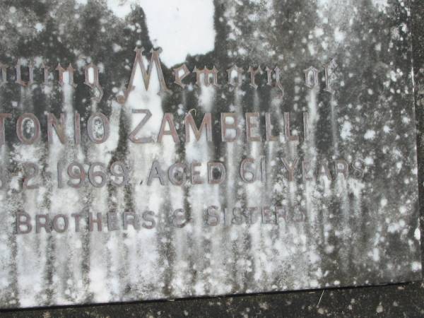 Antonio ZAMBELLI,  | died 13-2-1969 aged 61 years,  | missed by brothers & sisters;  | Murwillumbah Catholic Cemetery, New South Wales  | 