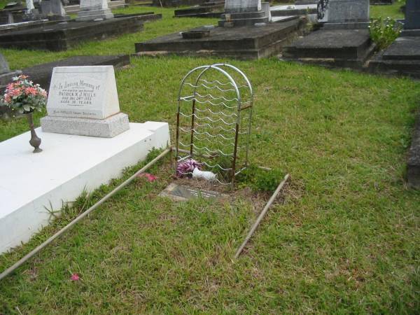 Francis Joseph WILSON,  | 23-2-1876 - 25-12-1953;  | Murwillumbah Catholic Cemetery, New South Wales  | 