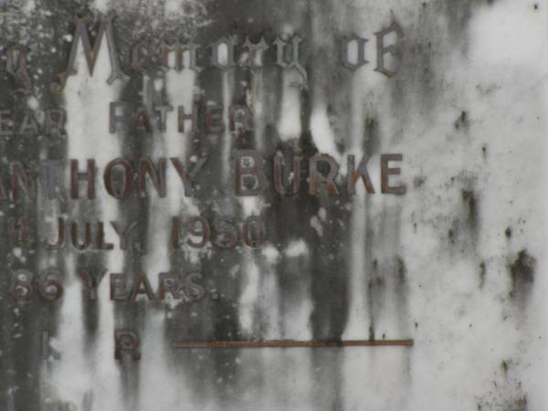 Francis Anthony BURKE,  | father,  | died 19 July 1950 aged 86 years;  | Murwillumbah Catholic Cemetery, New South Wales  | 