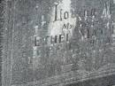 Ethel May HOLMES,
wife,
died 12 July 1960 aged 66 years;
Murwillumbah Catholic Cemetery, New South Wales