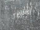 Bridget MCDONALD,
mother,
died 20 Aug 1960 aged 95 years;
Murwillumbah Catholic Cemetery, New South Wales