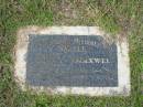 Mary Shiela SMALL,
born 25-6-1917,
died 23-11-1993;
Maxwell SMALL,
born 24-11-1915,
died 8-8-1967;
Murwillumbah Catholic Cemetery, New South Wales