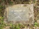 Jodie CROSS,
died 17-11-1973 aged 2 days;
Murwillumbah Catholic Cemetery, New South Wales