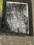 Rodney James COOK,
son brother,
died 6-9-56 aged 15 months;
Murwillumbah Catholic Cemetery, New South Wales