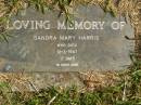 Sandra Mary HARRIS,
died 12-3-1947 aged 17 days;
Murwillumbah Catholic Cemetery, New South Wales