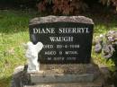Diane Sherryl WAUGH,
died 20-4-1949 aged 9 months;
Murwillumbah Catholic Cemetery, New South Wales