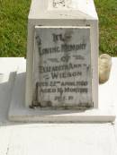 Elizabeth Ann WILSON,
died 22 April 1950 aged 16 months;
Murwillumbah Catholic Cemetery, New South Wales