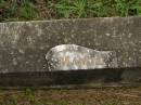 Mary Josephine (Mamie) HOGAN,
died 1 Jan 1949 aged 50 years;
Murwillumbah Catholic Cemetery, New South Wales