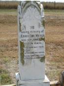 Ernestine WEBER
18 Jun 1917
73 yrs
Mutdapilly general cemetery, Boonah Shire