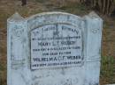 Mary L T WEBER
May 6 1943
aged 76
Wilhelm A C F WEBER
Sep 29 1954
aged 88
Mutdapilly general cemetery, Boonah Shire
