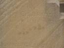 John GILBRIDE,
died 17 Mar 1903 aged 64 years;
Johanna GILBRIDE,
died 5 Sept 1915;
Nobby cemetery, Clifton Shire