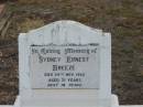 Sydney Ernest (Tiny) BREEZE,
died 24 Nov 1982 aged 71 years;
Nobby cemetery, Clifton Shire