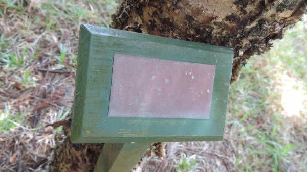   | Norfolk Island Memorial Park  |   | 