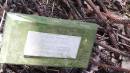 Lucie Aveline DOWNES
great granddaughter of Adams of the Bounty
1-9-1896 - 18-9-1966
Norfolk Island Memorial Park