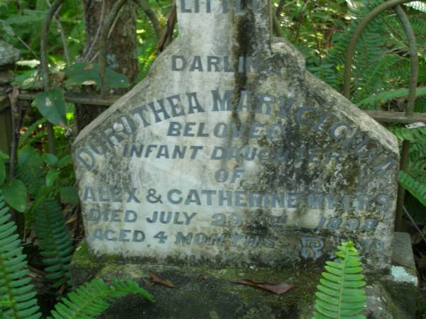 Dorothea Mary Cecilia,  | infant daughter of Alex & Catherine MYERS,  | died 29 July 1898 aged 4 months;  | North Tumbulgum cemetery, New South Wales  | 