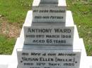 Anthony WARD, husband father,
died 29 March 1958 aged 65 years;
Susan Ellen (Nellie), wife mother,
died 12 Sept 1985 aged 90 years;
St James Catholic Cemetery, Palen Creek, Beaudesert Shire