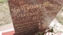 Jeffrey Laurence REID
d: 17 Jan 1981? aged 23
father of Jennifer, Angelique
Peak Downs Memorial Cemetery Capella Cemetery