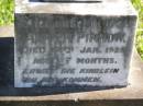 
Alwyn PINNOW,
died 14 Jan 1921 aged 7 months;
Pimpama Island cemetery, Gold Coast

