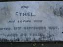 Thomas DOHERTY,
father,
died 21 Nov 1923 aged 47 years;
Ethel,
wife,
died 19 Sept 1967 aged 84 years;
Pimpama Uniting cemetery, Gold Coast