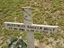 Alexandra Angela HOLT,
09-06-1945 - 08-01-2001,
beloved of Robert;
Pimpama Uniting cemetery, Gold Coast
