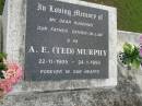 A.E. (Ted) MURPHY,
22-11-1905 - 24-1-1993,
husband father father-in-law pa;
Pimpama Uniting cemetery, Gold Coast