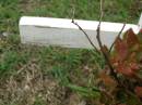 Michael John MCNAMARA,
13-03-1942 - 5-7-2002;
Pimpama Uniting cemetery, Gold Coast